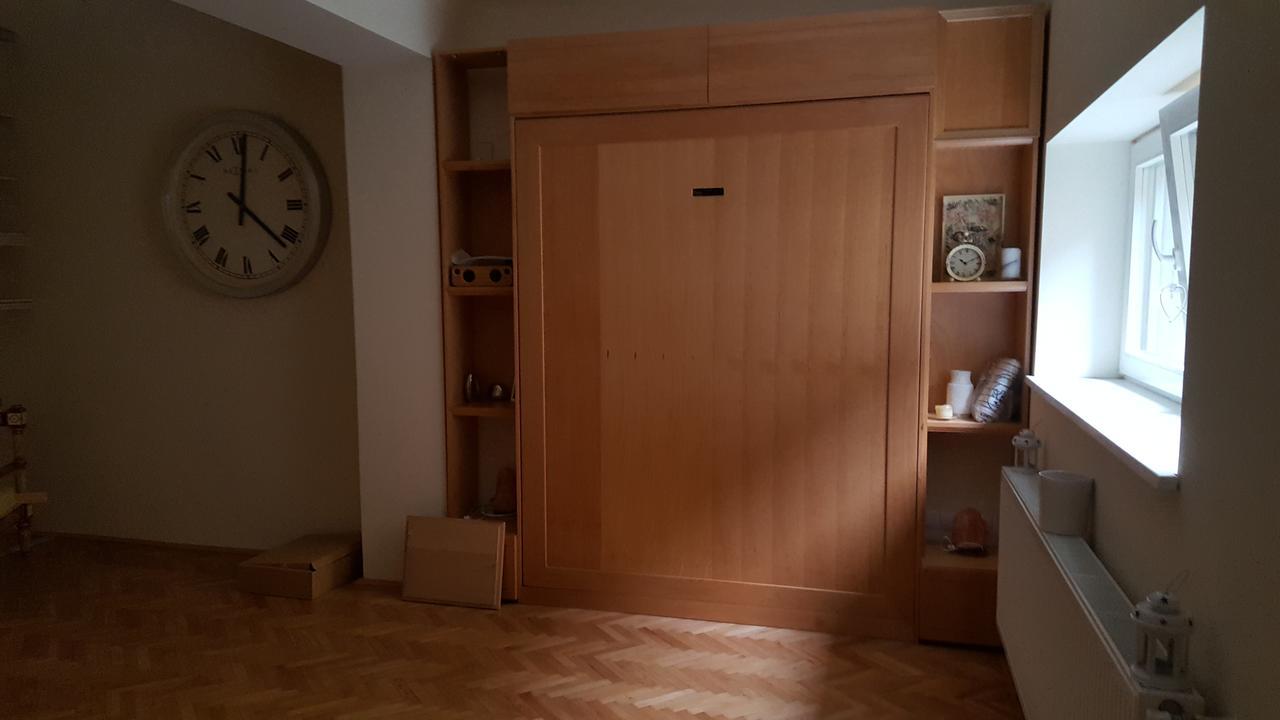 Apartment Vintige 克卢日-纳波卡 外观 照片