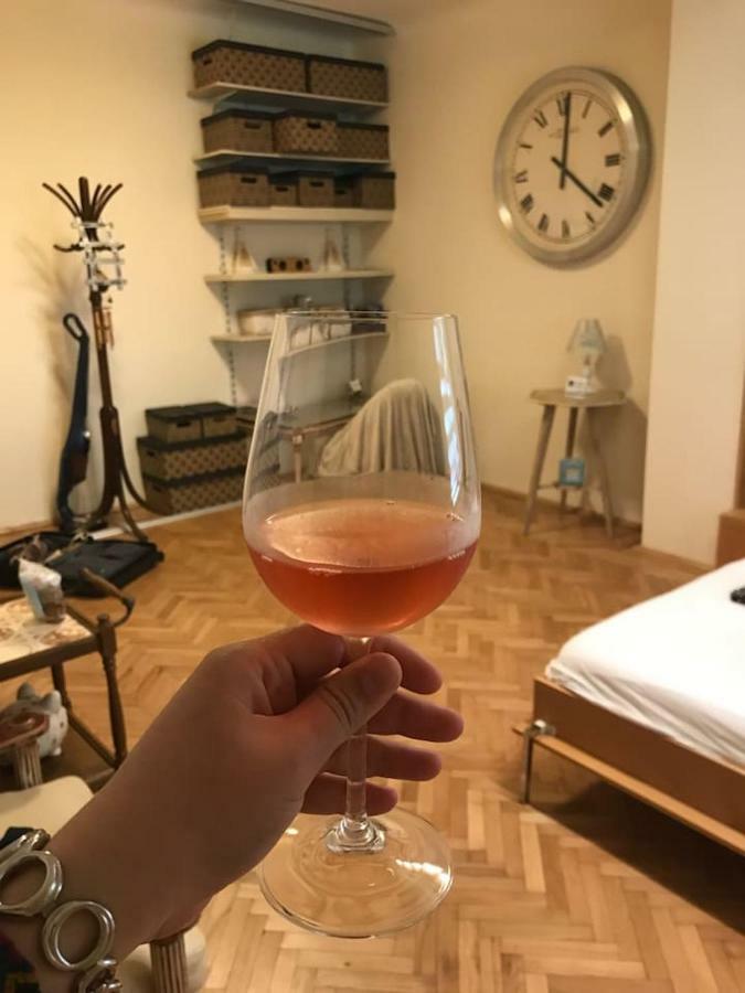 Apartment Vintige 克卢日-纳波卡 外观 照片