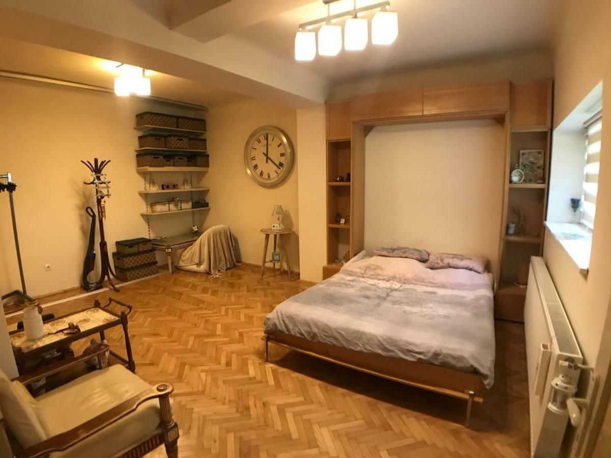 Apartment Vintige 克卢日-纳波卡 外观 照片