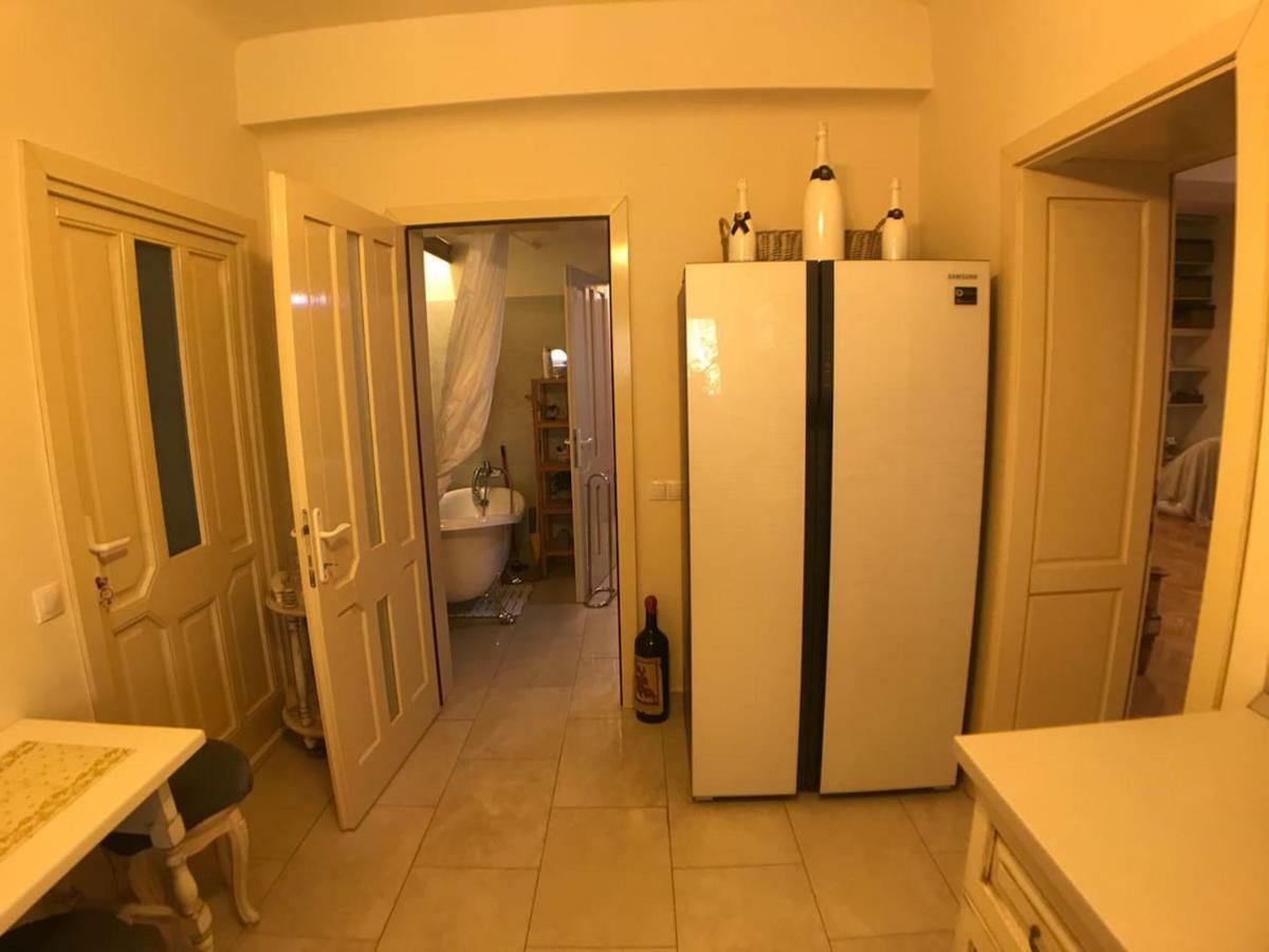 Apartment Vintige 克卢日-纳波卡 外观 照片